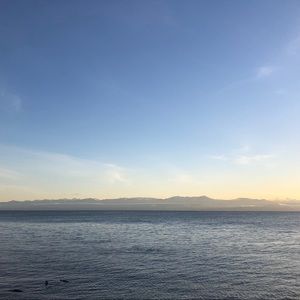 Meet your Posher, Carla